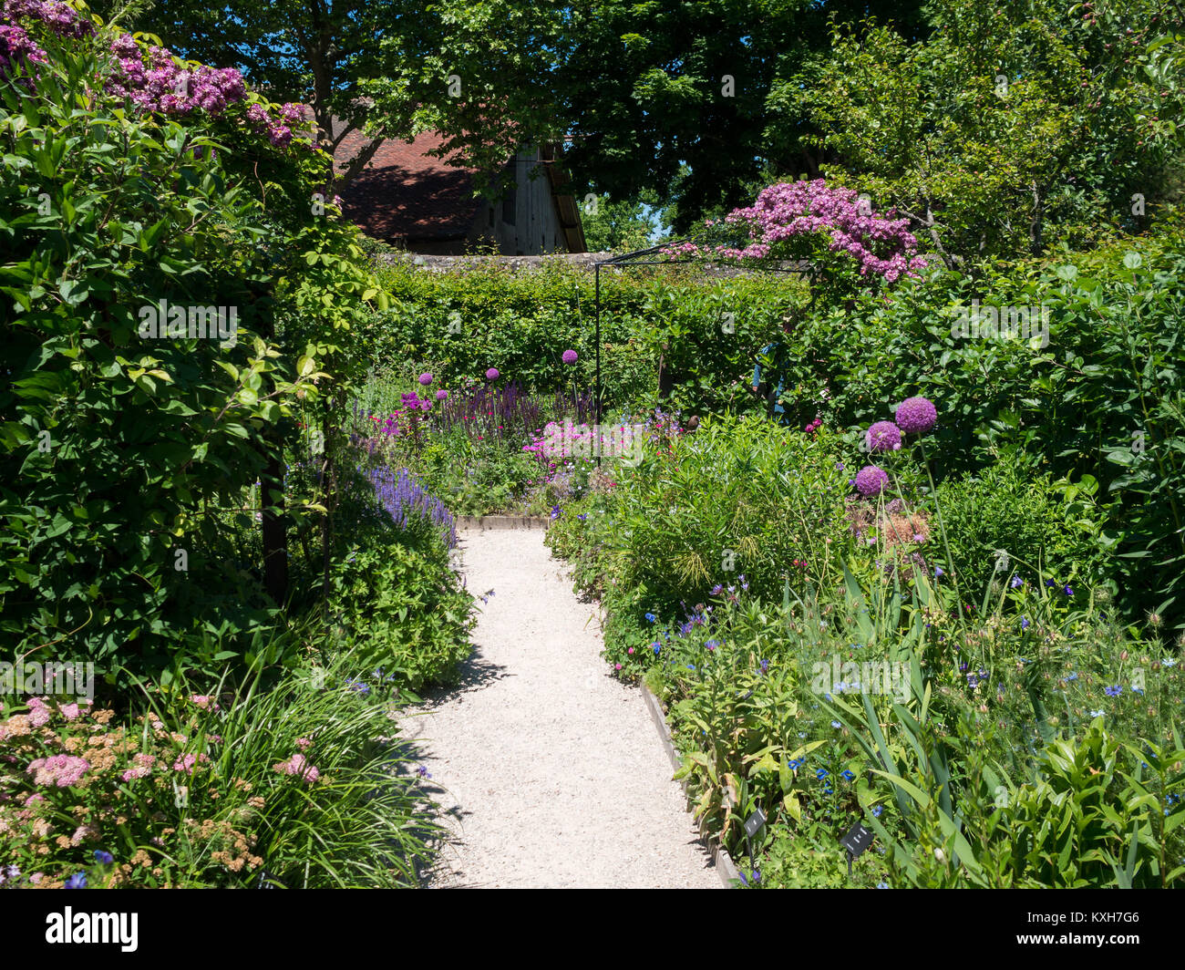 5 senses Fotos und Bildmaterial in hoher Auflösung Alamy