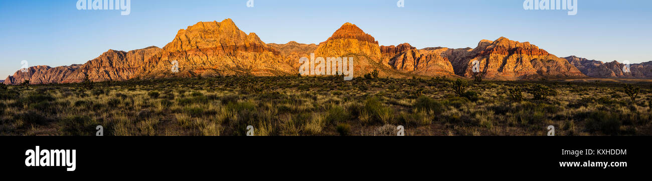 Panoramablick auf die roten Felsen in der Red Rock Canyon National Conservation Area. Las Vegas, Nevada Stockfoto
