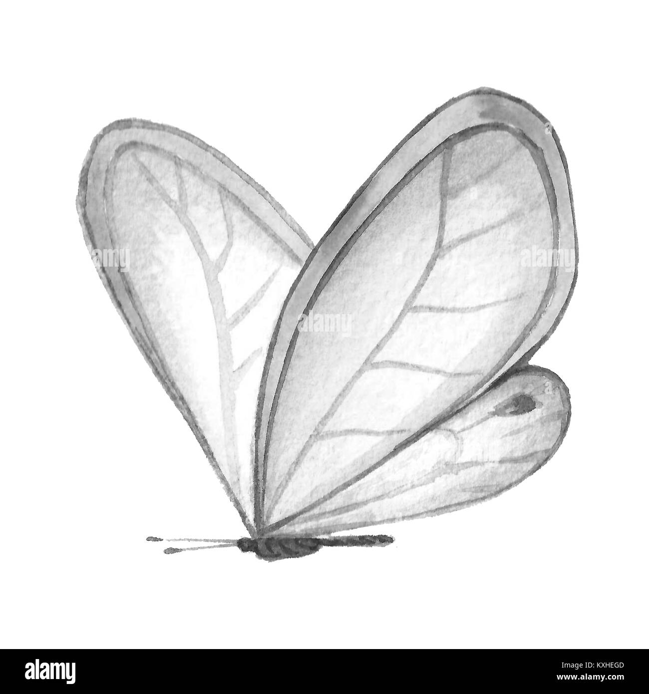 Schmetterling clipart schwarz und weiß -Fotos und -Bildmaterial in