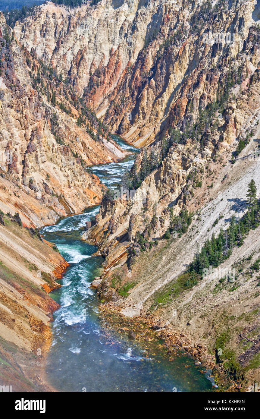 Grand Canyon des Yellowstone National Park, USA Stockfoto