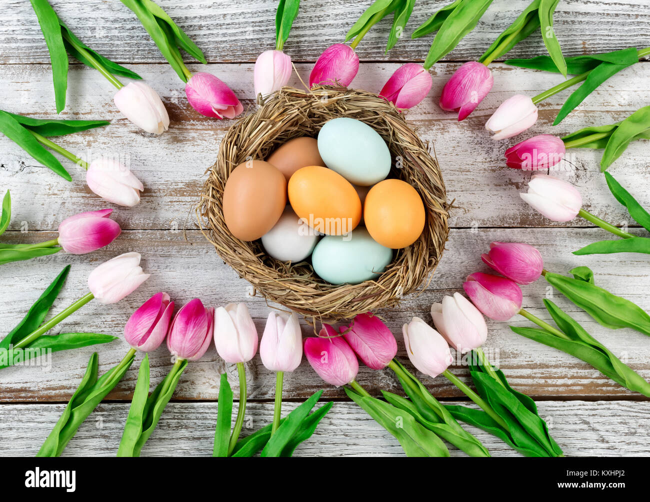 Tulpen Kreis Grenze mit bunten echten Eier im Nest auf rustikalen weißen Brettern für Ostern Hintergrund Stockfoto