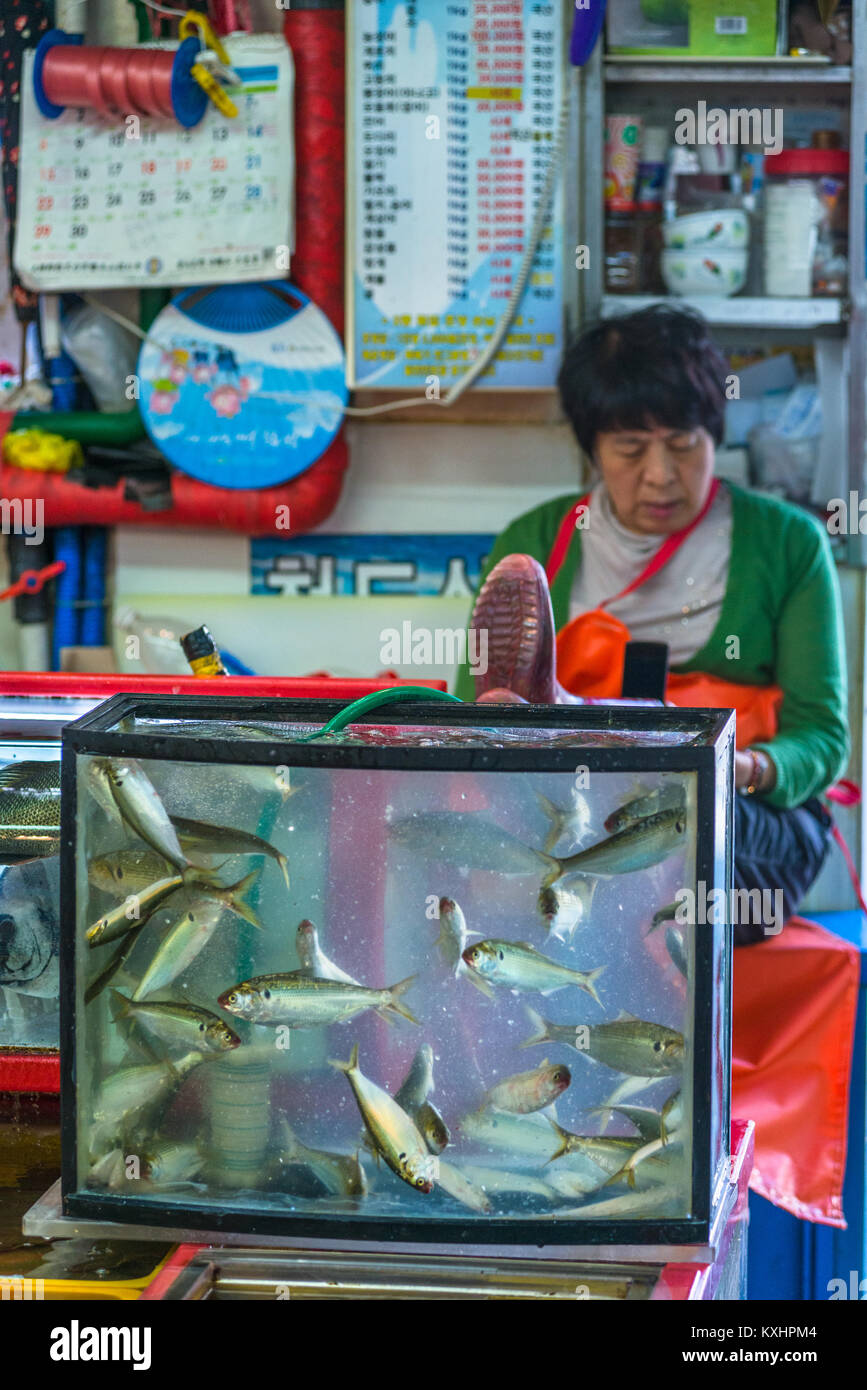 Koreanische Dame setzen ihre Füße und eine Pause bei Jagalchi Fischmarkt, Busan, Yeongnam, Südkorea. Stockfoto