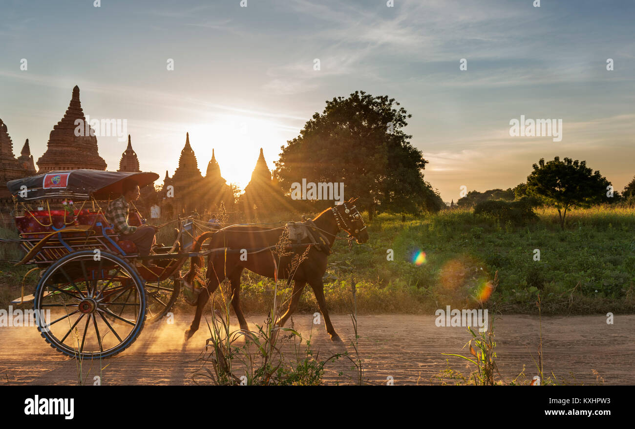 Pferd - Warenkorb Pass von Pagoden bei Sonnenuntergang in Bagan, Myanmar Stockfoto