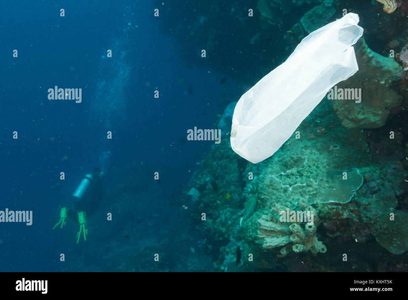 Eine Plastiktüte schwimmt im Meer nach verworfen, Bunaken National Marine Park, Nord Sulawesi, Indonesien Stockfoto