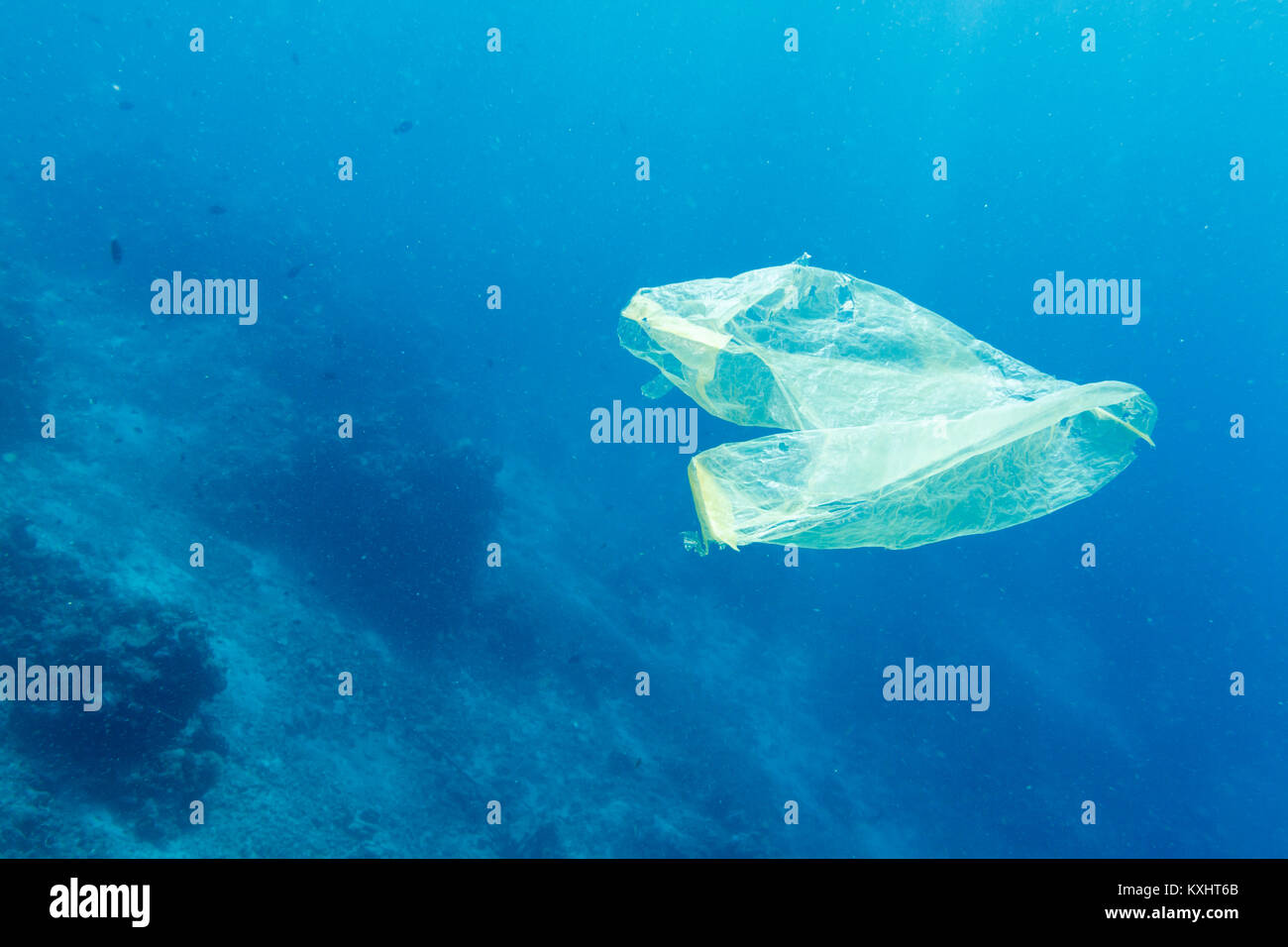Eine Plastiktüte schwimmt im Meer nach verworfen, Bunaken National Marine Park, Nord Sulawesi, Indonesien Stockfoto