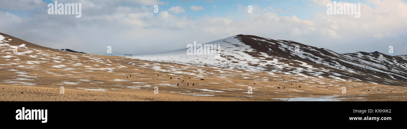 Mongolische Landschaft verschneite Berge Schnee Winter wilde Pferde Herde Mongolei panorama Stockfoto