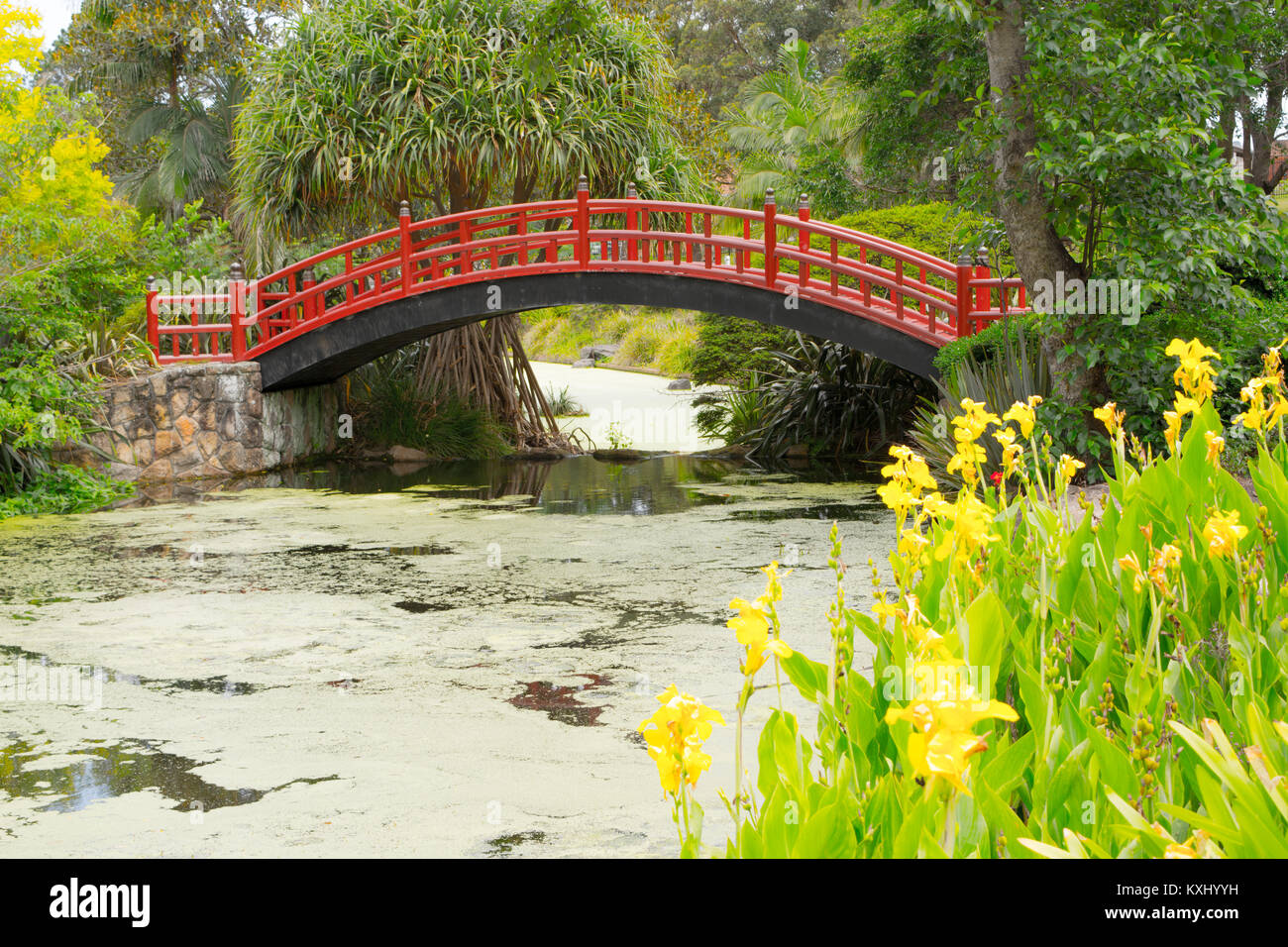 Kawasaki Brücke Wollongong Botanic Gardens Stockfoto