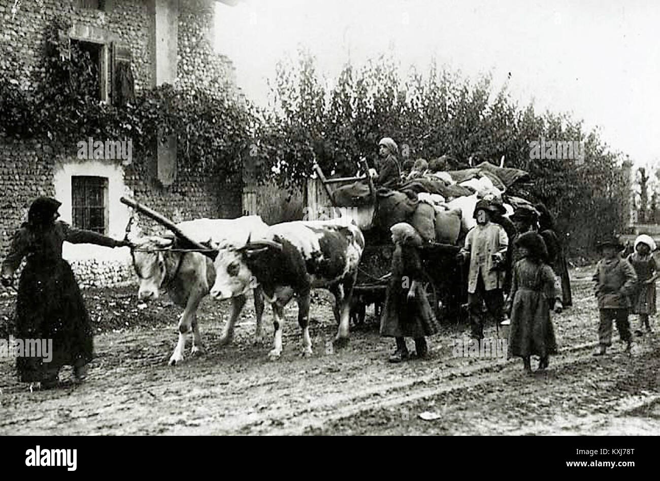 Dieses Foto zeigt Flüchtlinge aus Friaul nach einem Durchbruch an der Front während des Ersten Weltkriegs und veranschaulicht zivile Not und Vertreibung. Stockfoto