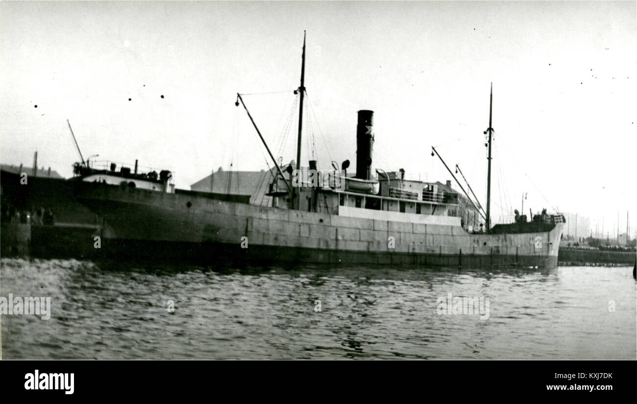 Dieses Exemplar, Bär, mit dem Code NSM.2105-711 identifiziert, ist Teil der Sammlung im Naturwissenschaftlichen Museum und zeigt Tierexemplare. Stockfoto