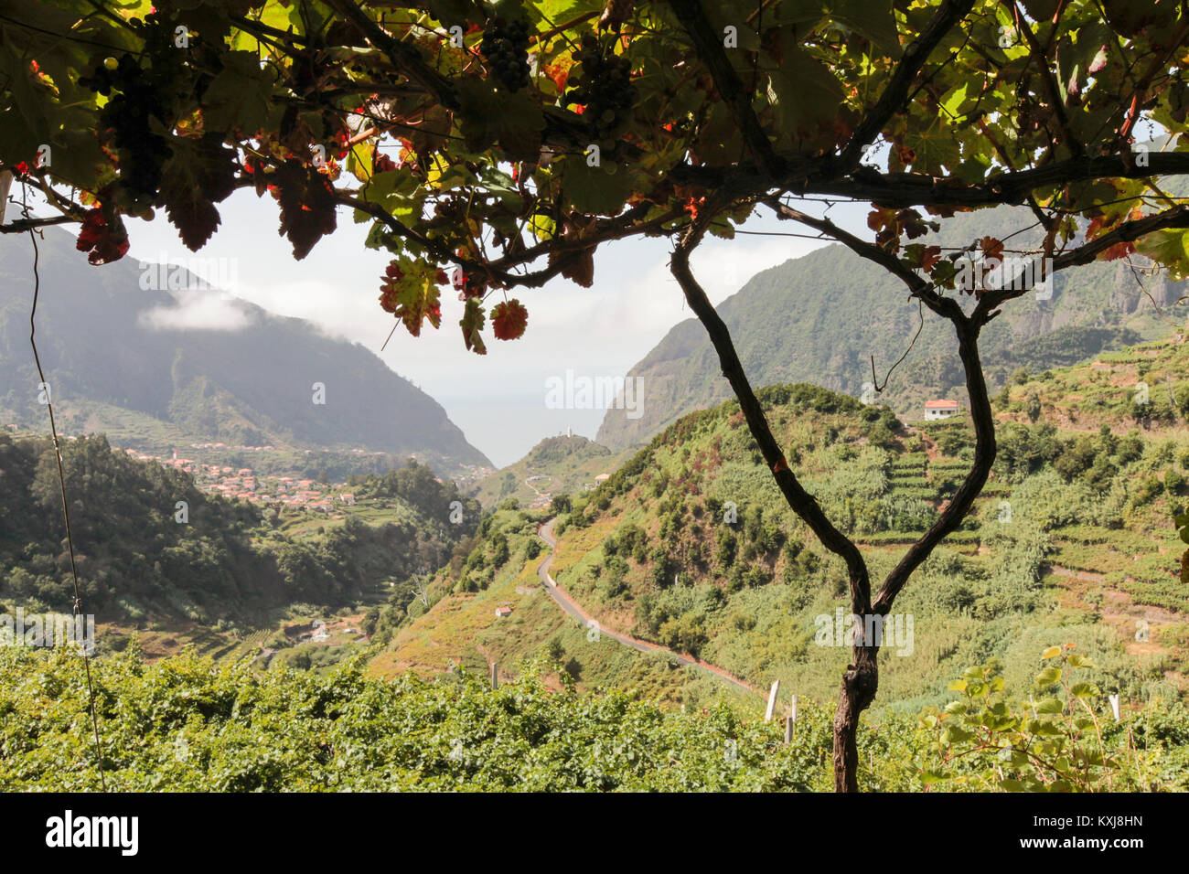 Idyllischer Blick auf grüne Landschaft und Berge, Sao Vicente, Madeira, Portugal Stockfoto