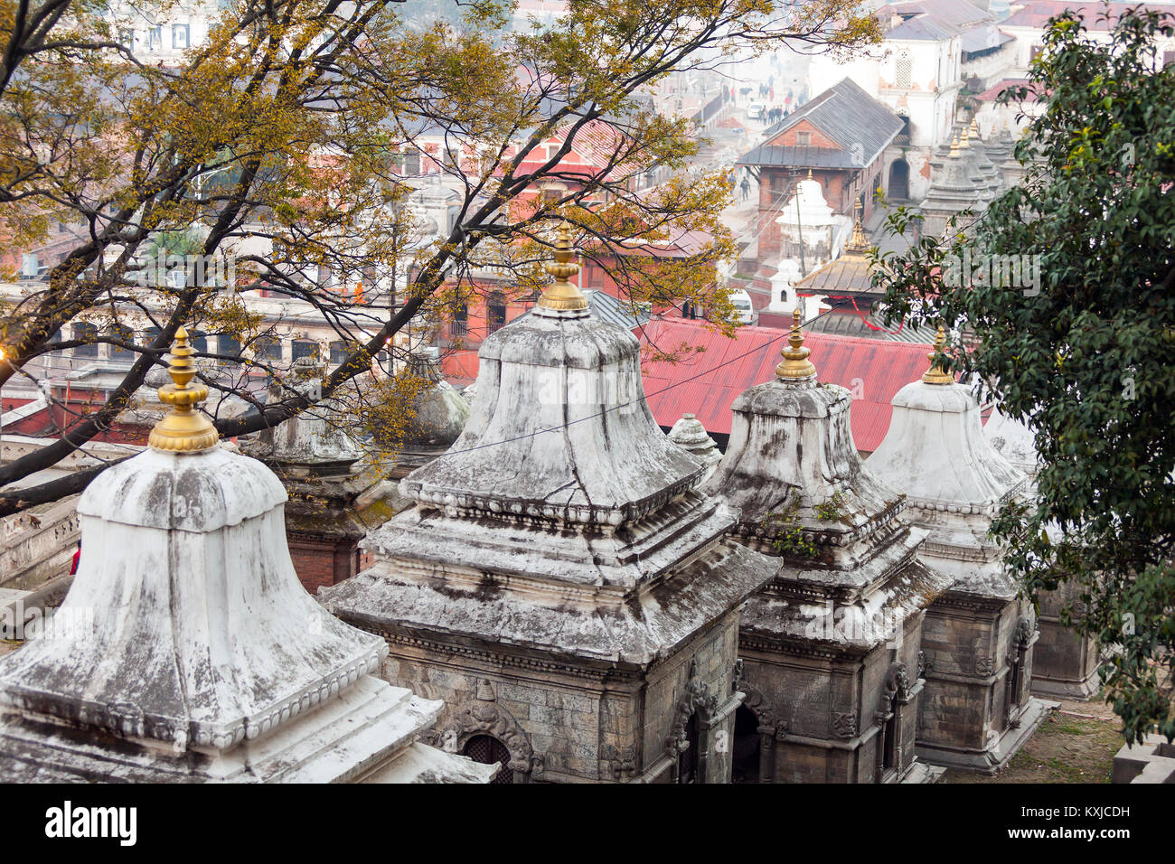 Bhasmeshvar Ghat an Pashupatinath Tempel und Bagmati Fluss in Kathmandu, Nepal. Stockfoto