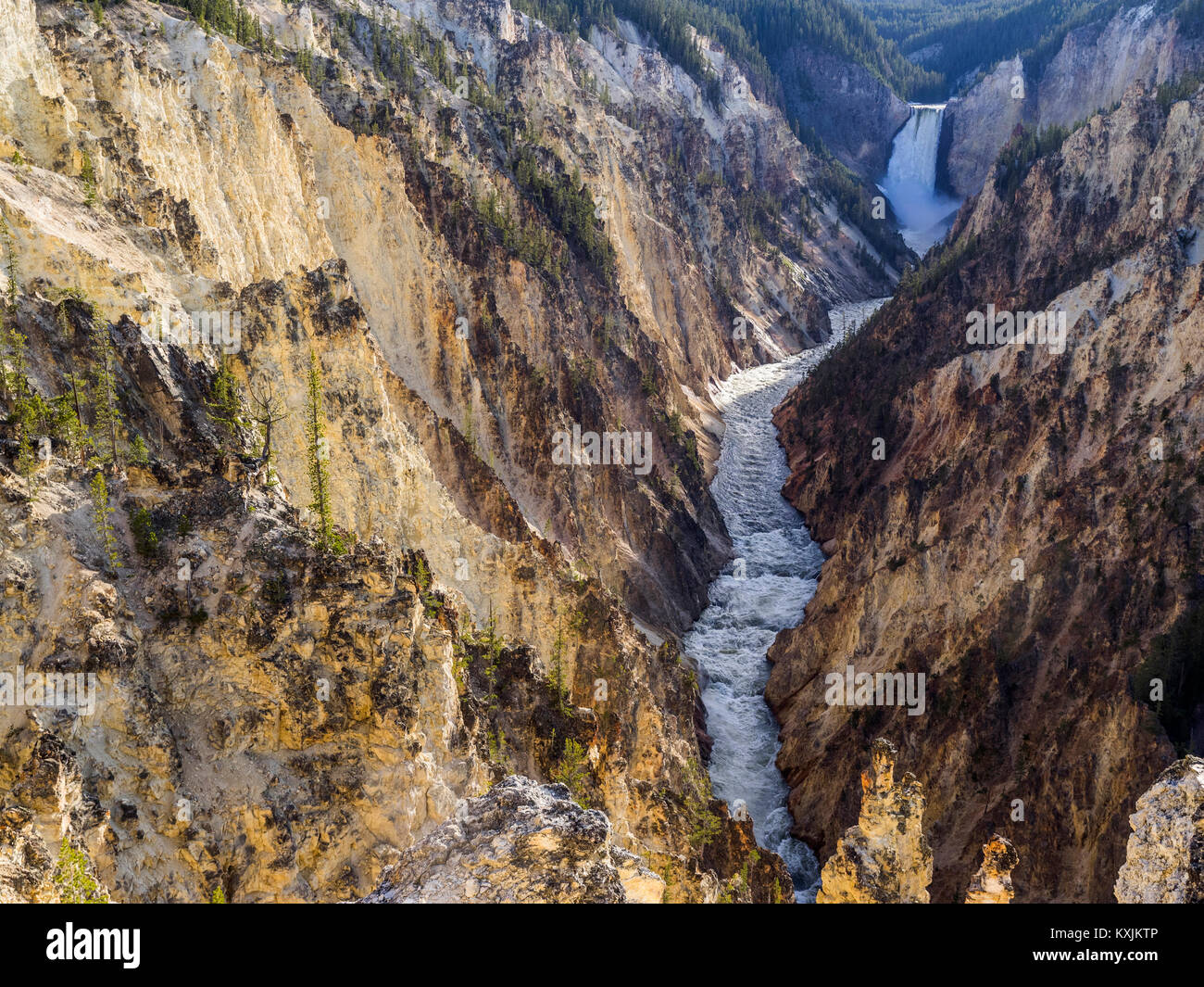 Grand Canyon von Yellowstone, Yellowstone National Park, Wisconsin, USA, Nordamerika Stockfoto