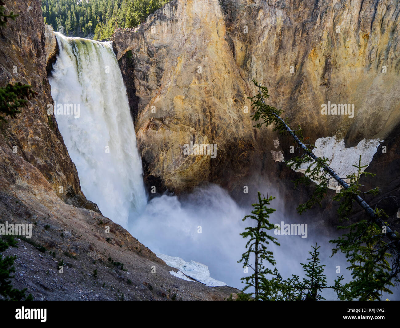 Lower Falls, Grand Canyon, Yellowstone, Yellowstone National Park, Wisconsin, USA, Nordamerika Stockfoto