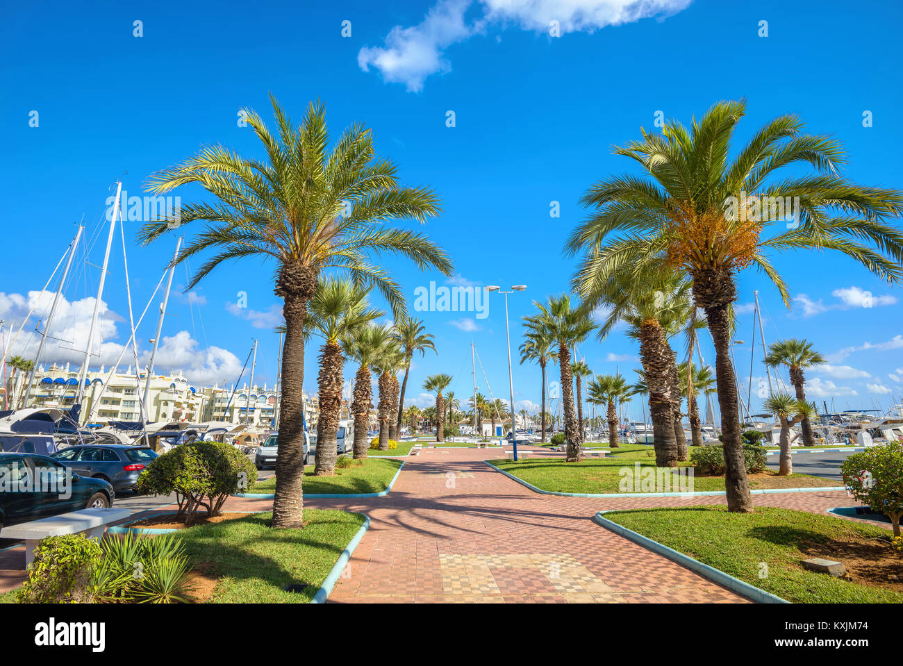 Strandpromenade mit Palmen in Puerto Marina. Benalmadena, Provinz Malaga, Costa del Sol, Andalusien, Spanien Stockfoto