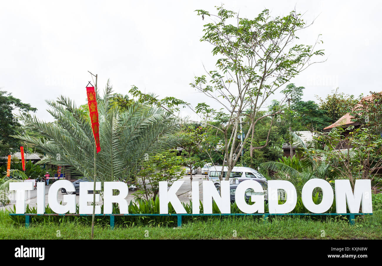 CHIANG MAI, THAILAND - 07 NOVEMBER 2014: Tiger Königreich ist eine sehr beliebte Touristenattraktionen, wo Sie mit Tigern spielen können, Thailand Stockfoto