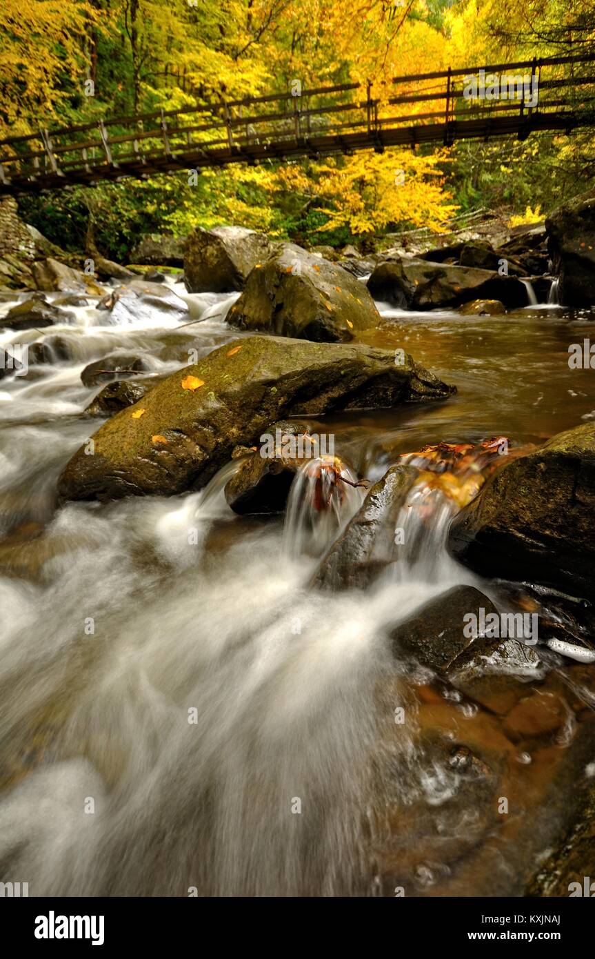 Glade Creek im Herbst Farbe Babcock State Park, West Virginia Stockfoto