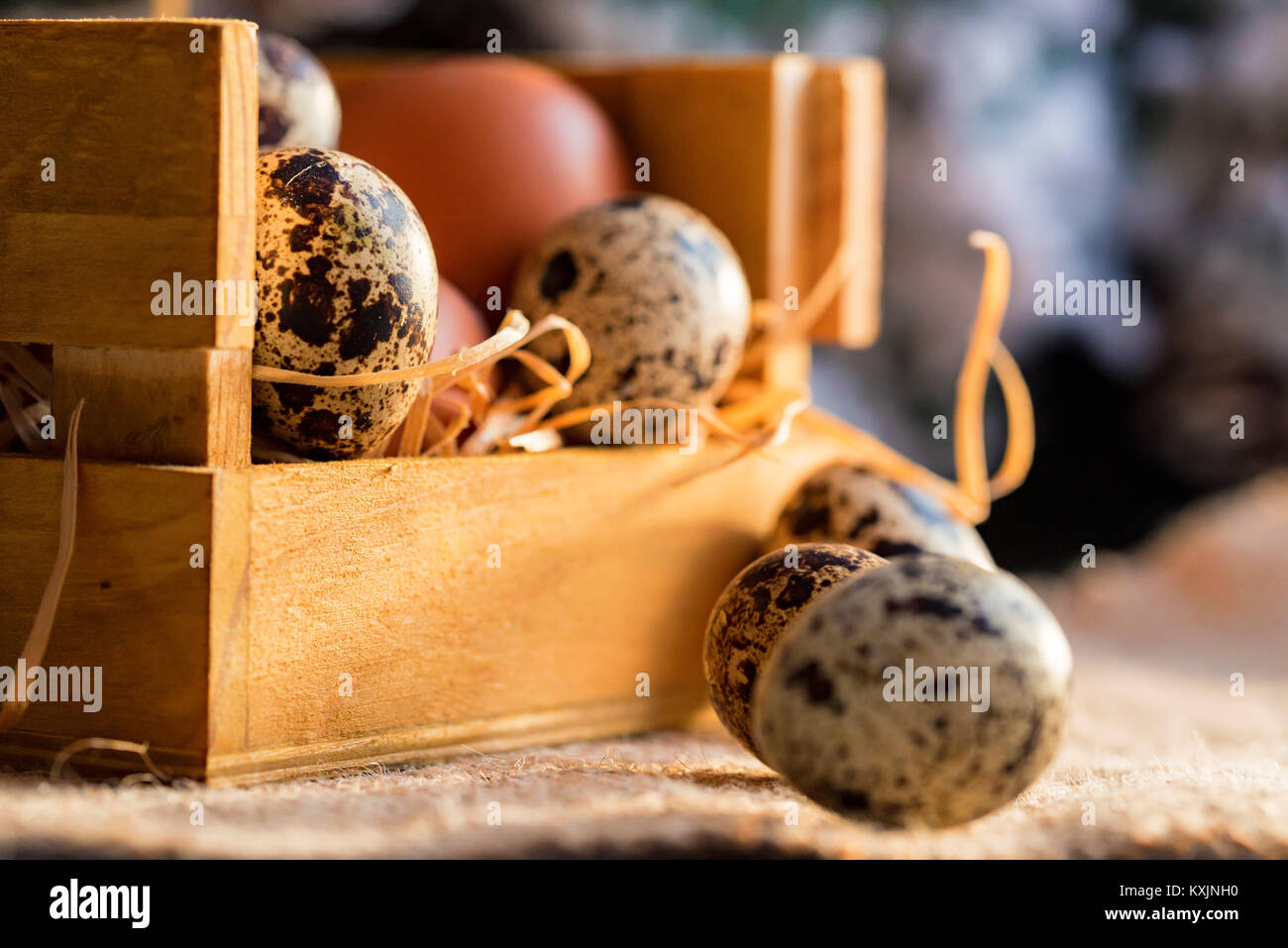 Frischen landwirtschaftlichen braune Eier auf rustikalen Hintergrund Stockfoto