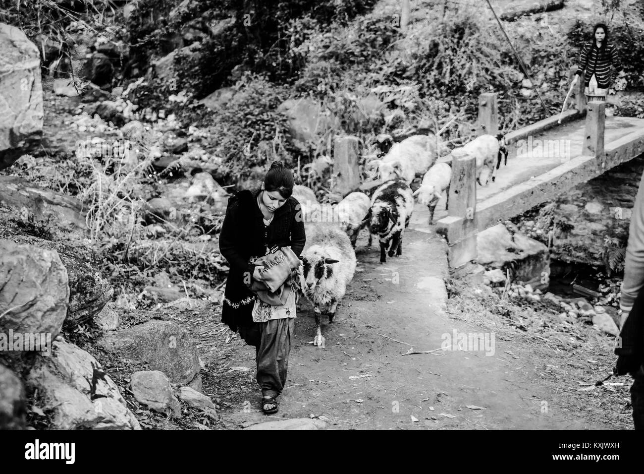 Kasol Himichal Pradesh Indien © Sauriêl Ltd | Samantha Scholl | | www.saurielcreative.com fb.com/SaurielPhotography Stockfoto