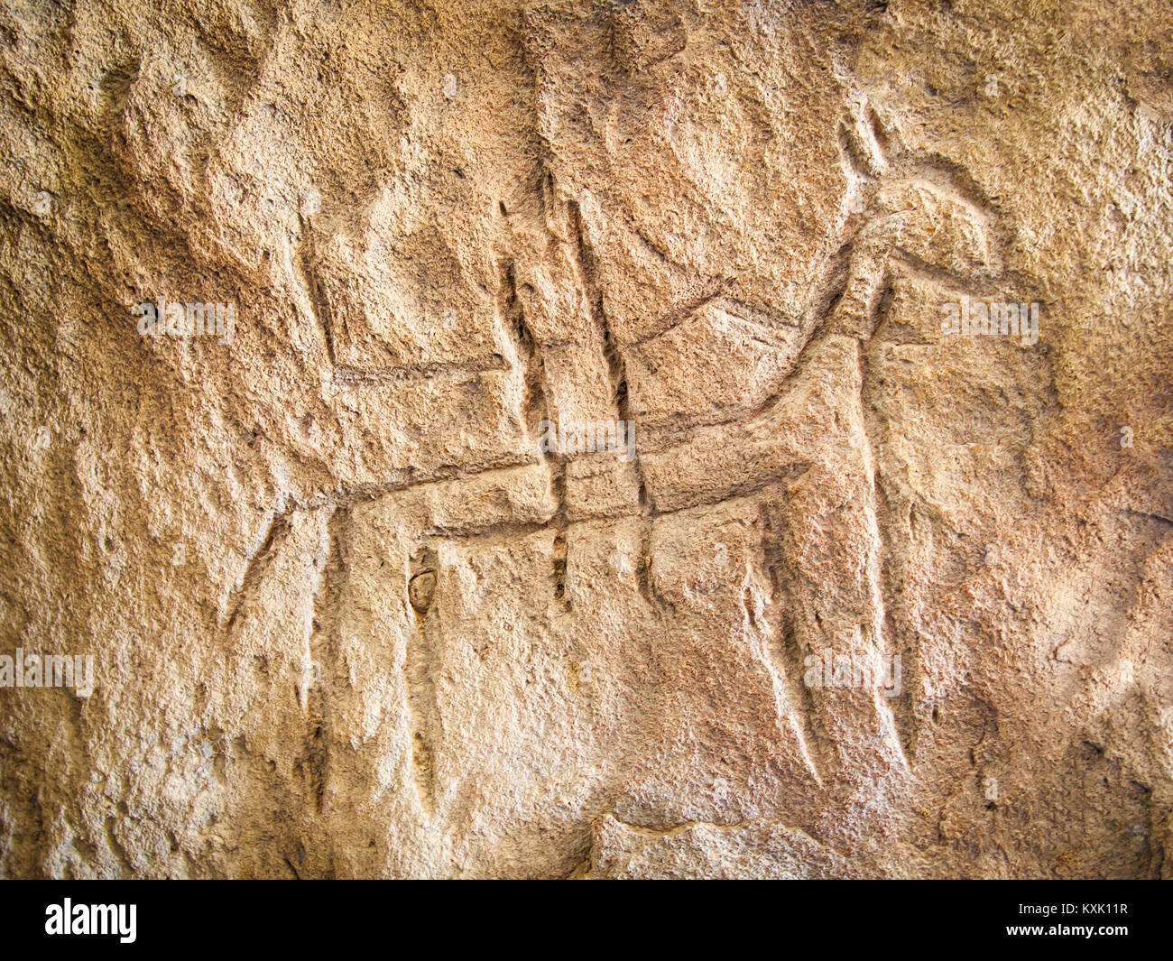 Echten petroglyph im Gobustan Nationalpark, Aserbaidschan Stockfoto