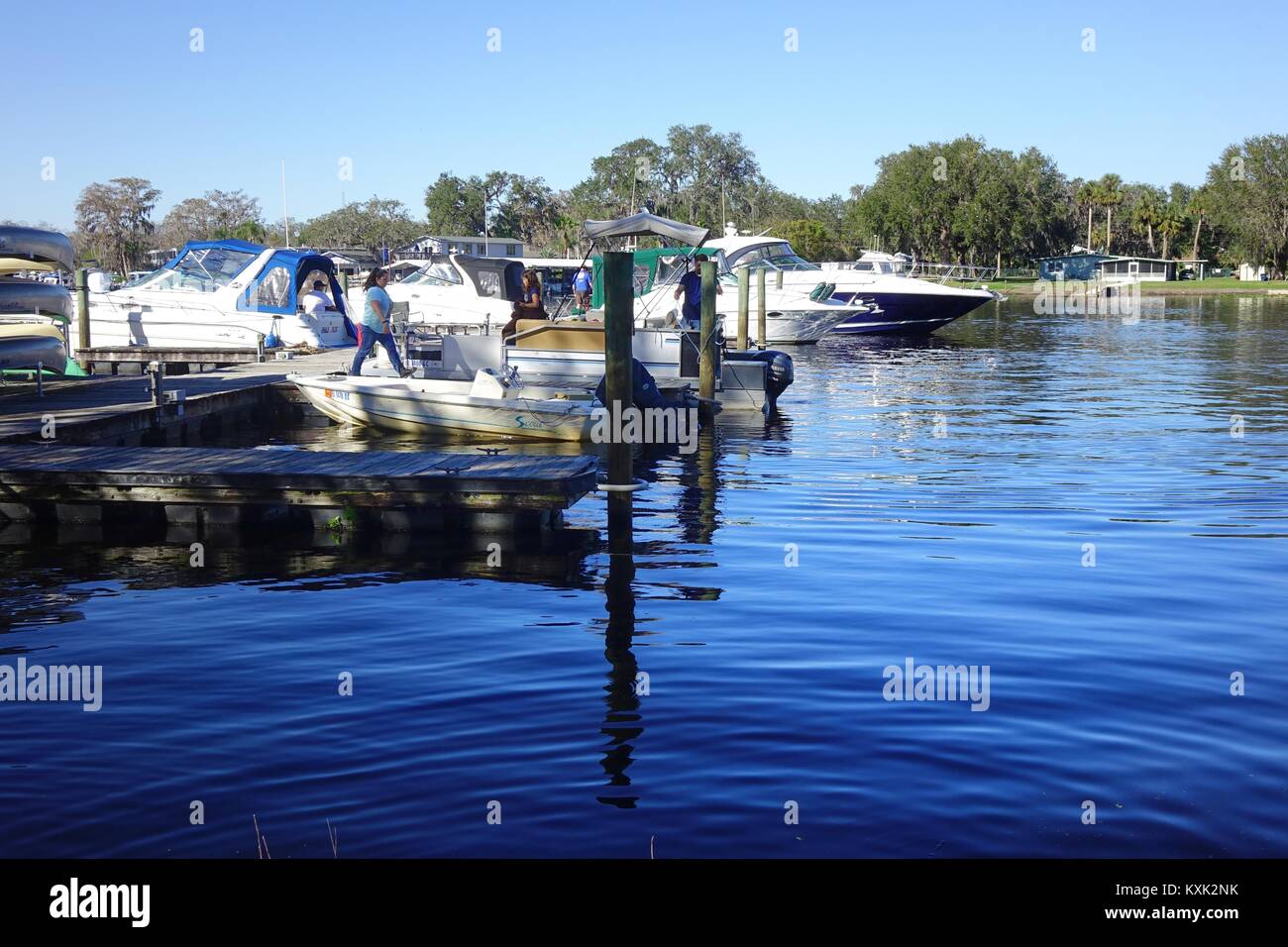 Boot Dock an Hontoon Island State Park, DeLand, Florida Stockfoto