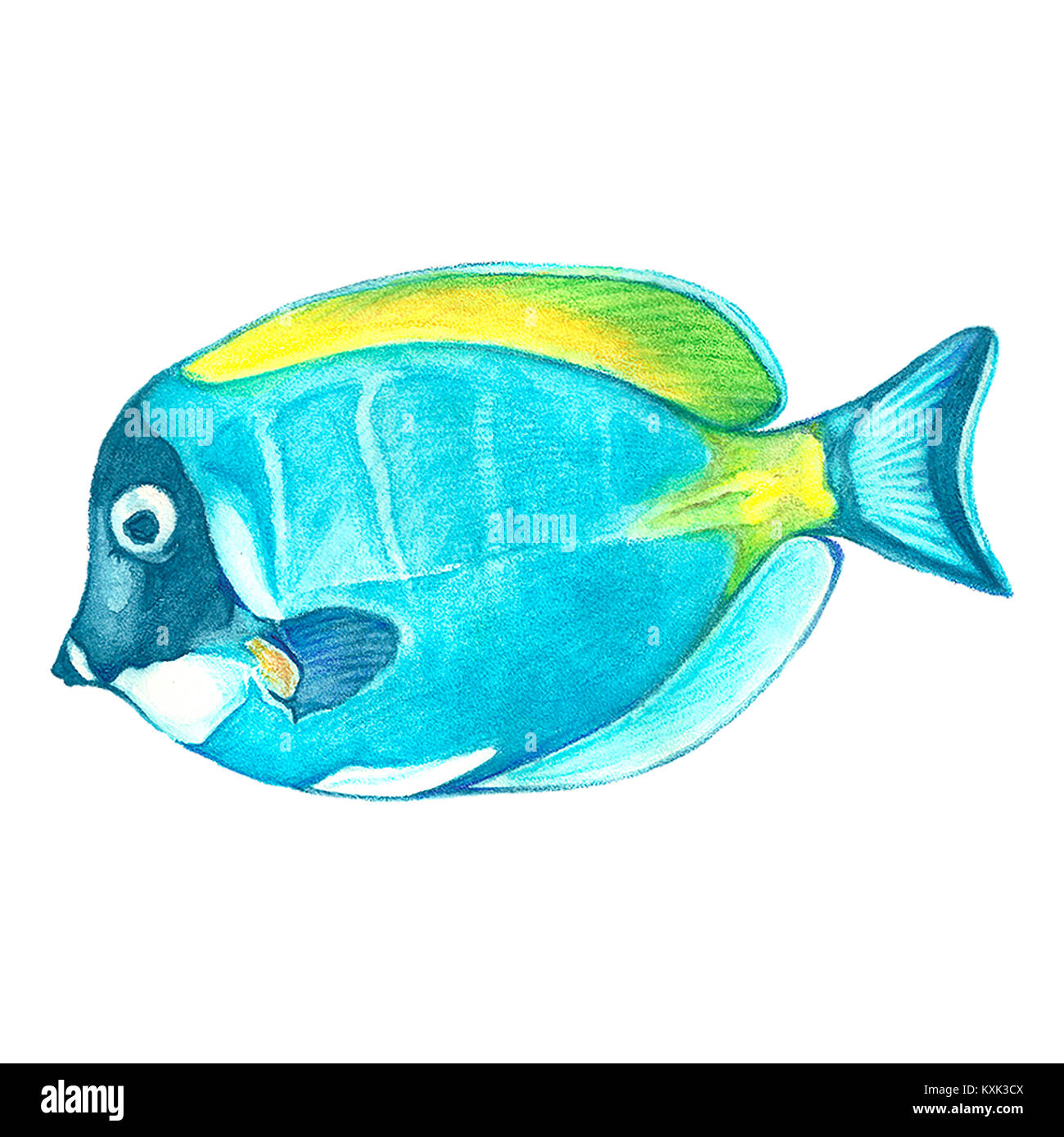 Aquarell Hand gezeichnet tropische Fische auf weißem Hintergrund