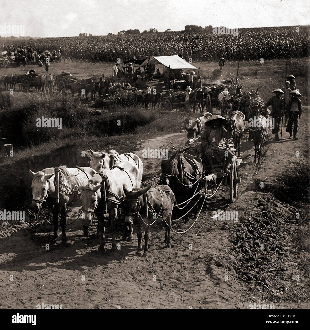 Chinesische bestimmung Wagen in der Mandschurei Stockfoto