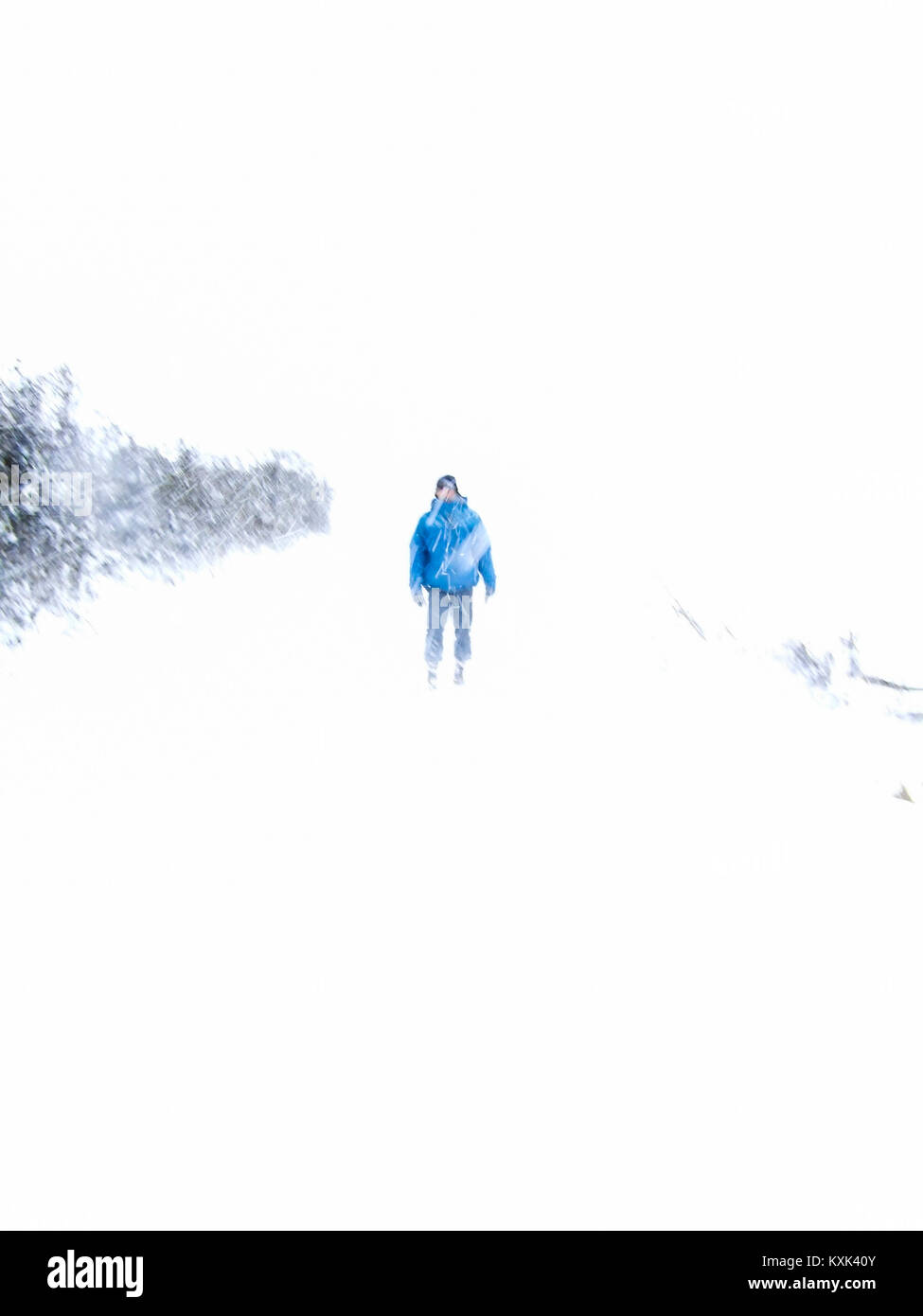 Winter mit Schnee. Unscharfes Bild von seltsamen allein Mann in blauen Anorak auf Land weg in einen Schneesturm, Frankreich Stockfoto