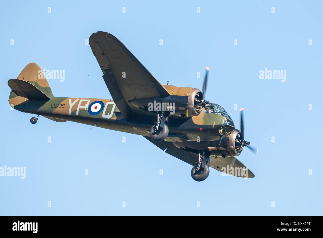 1940 Bristol Blenheim Fliegen an der Goodwood Revival 2016 Stockfoto