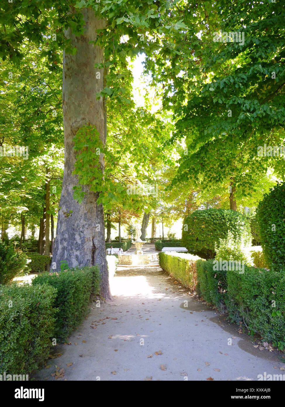 Aranjuez - Real Sitio, Jardín de la Isla 16. Stockfoto