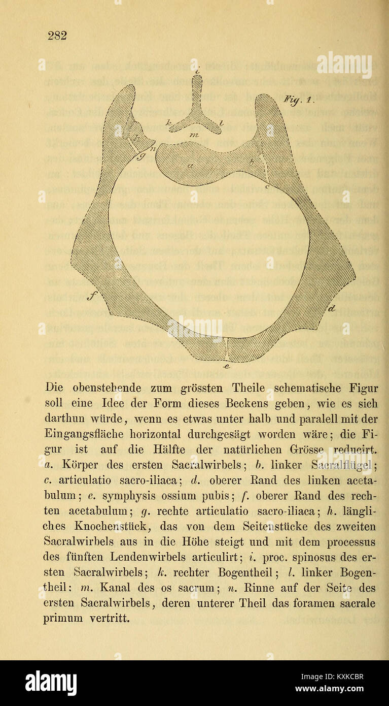 Eine Seite aus dem Archiv für die holländischen Beiträge zur Natur- und Heilkunde, die niederländische Beiträge zur Naturwissenschaft und Medizin dokumentiert. Stockfoto