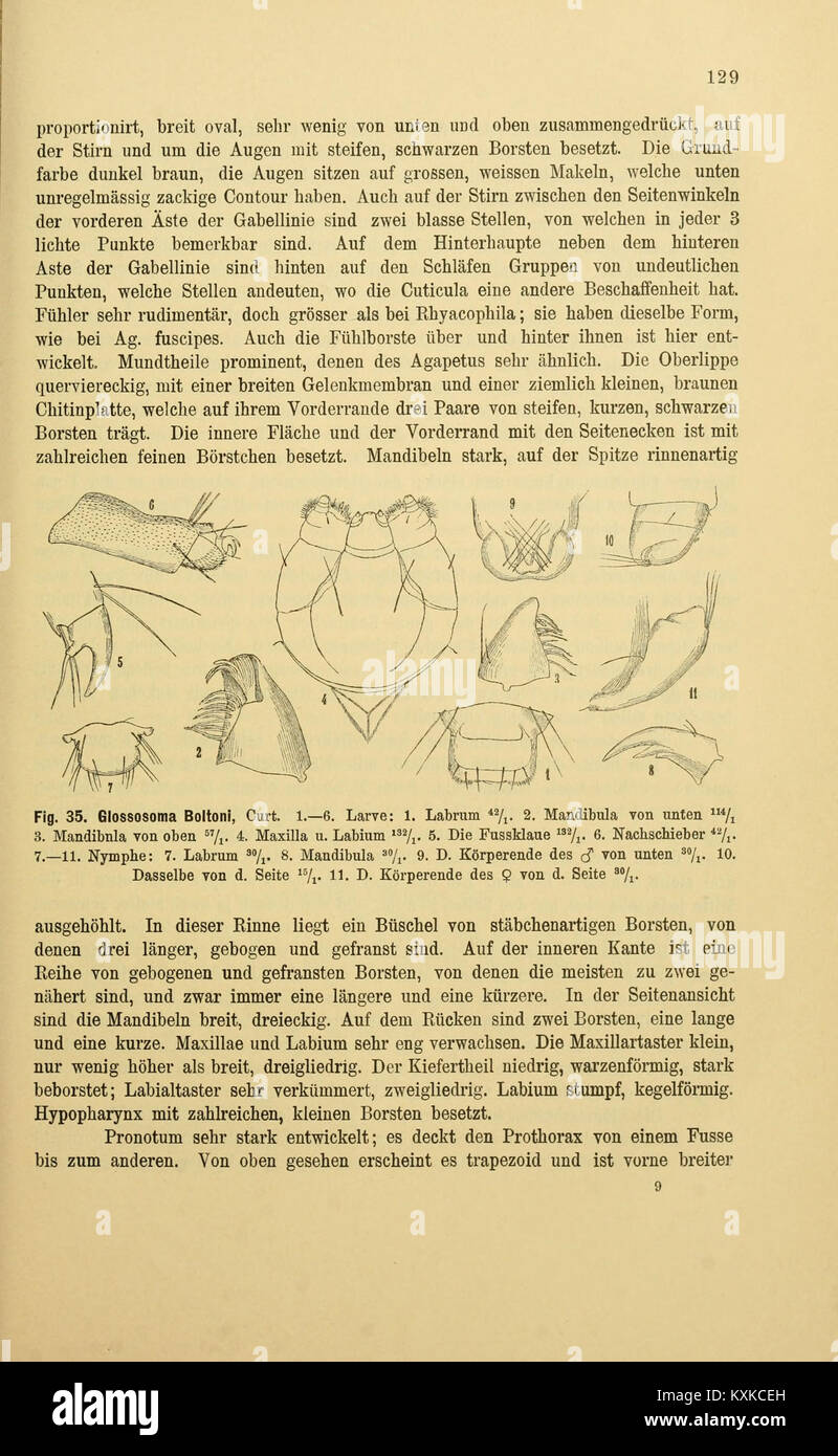 Böhmisches wissenschaftliches Archiv zur Erfassung naturgeschichtlicher Studien, einschließlich Geologie-, Botanik- und zoologischer Forschung und Beobachtungen. Stockfoto