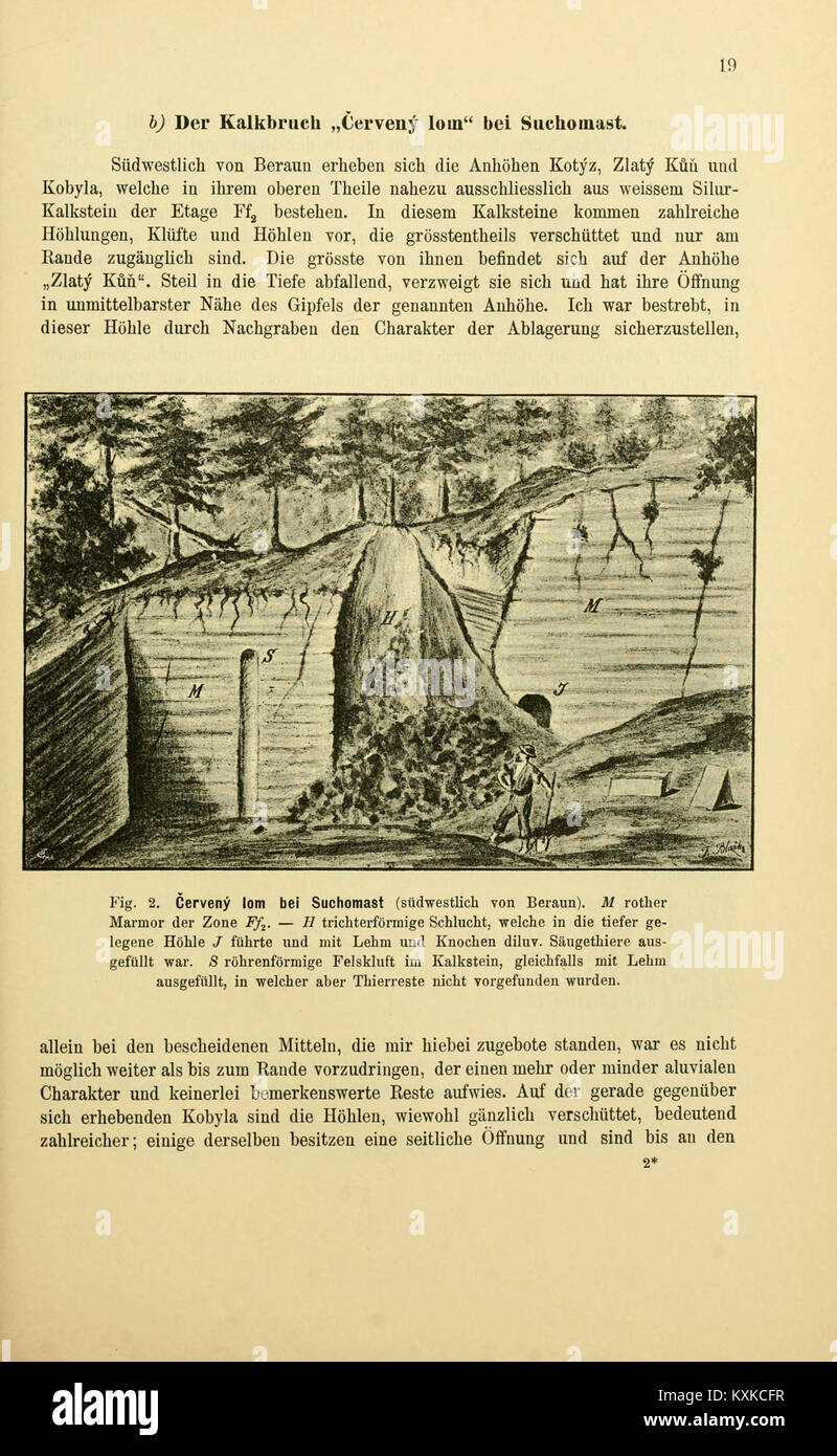 Auf Seite 19 dieses wissenschaftlichen Archivs werden frühe Dokumentationen der natürlichen Umwelt Böhmens vorgestellt, einschließlich Daten zur Geologie, Hydrologie und regionalen Flora und Fauna. Stockfoto