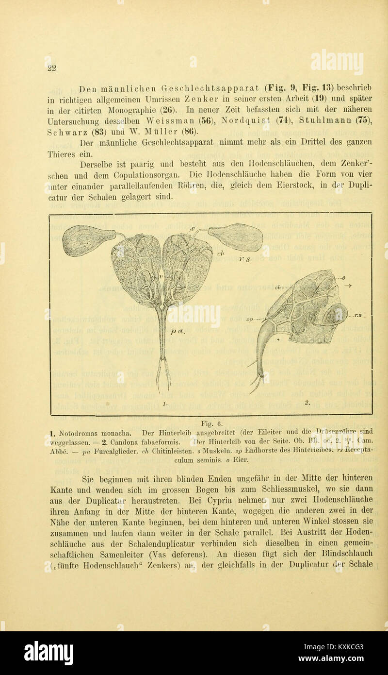 Wissenschaftliches Archiv zur regionalen naturgeschichtlichen Forschung in Böhmen, insbesondere Seite 22 der Publikation, die Erkenntnisse in der Region dokumentiert. Stockfoto