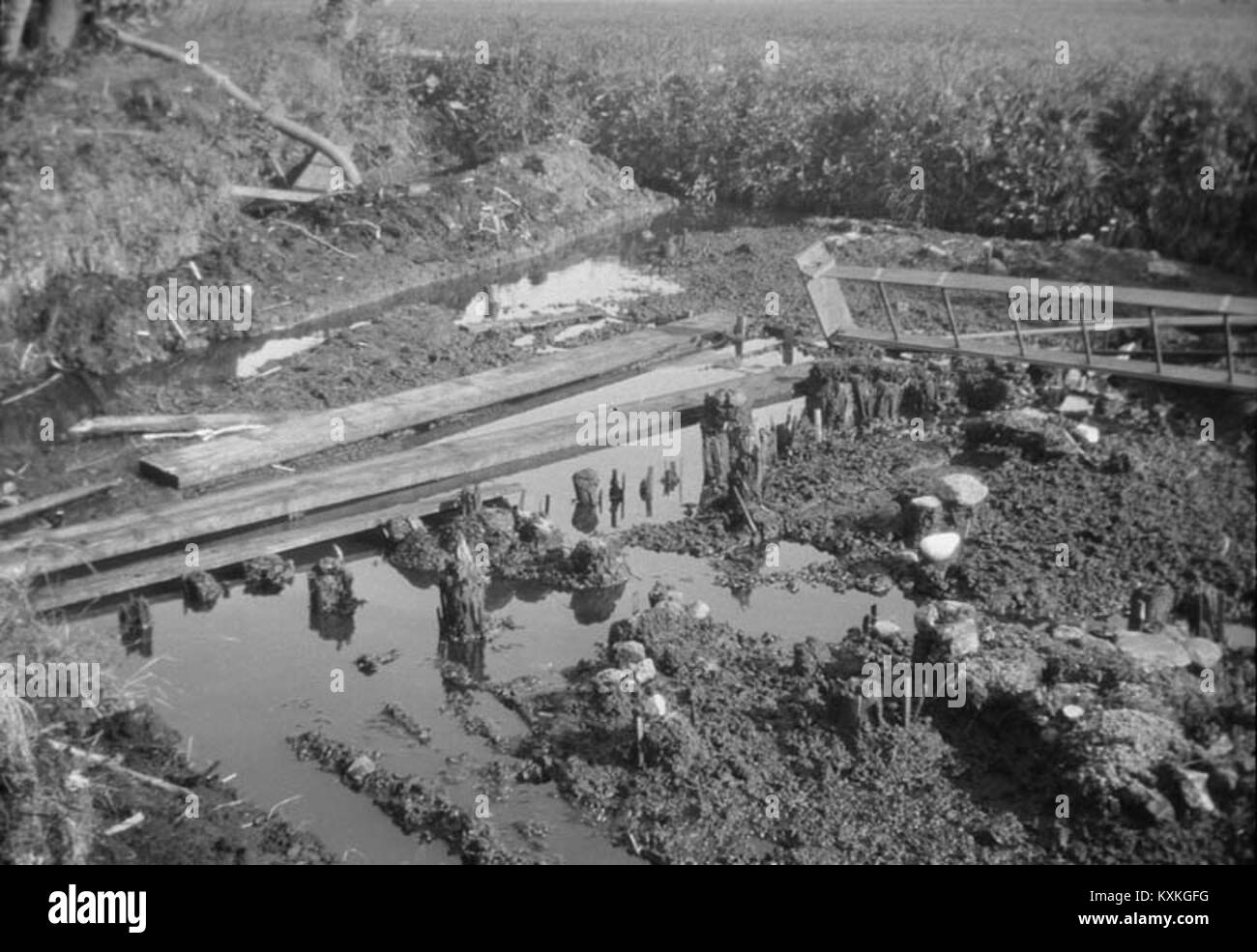 Ein Bauwerk an der archäologischen Stätte Alvastra in Schweden, das aus dem Mittelalter stammt, stellt einen wichtigen Überbleibsel des skandinavischen Klostererbes und historischen Erbes dar, der mit der frühen religiösen und kulturellen Entwicklung verbunden ist. Stockfoto