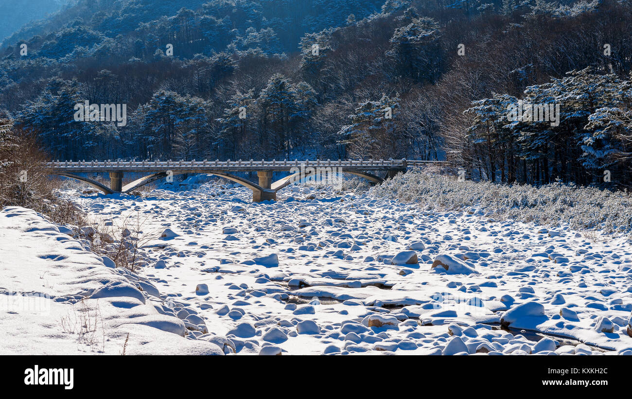 Seoraksan Nationalpark im Winter, Südkorea. Stockfoto