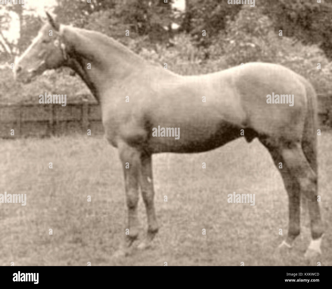 Blue Peter ist ein seit langem laufendes britisches Fernsehprogramm für Kinder mit pädagogischen Inhalten, Kunst, Kunsthandwerk und Aktivitäten. erste Ausstrahlung 1958. Stockfoto