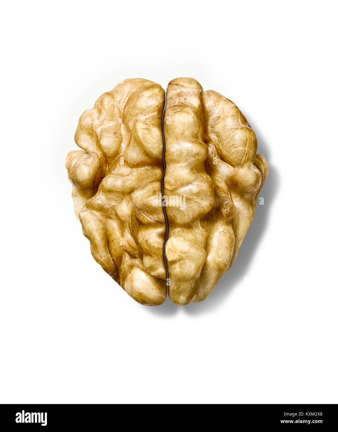 Eine clevere Schuß von zwei Hälften einer Walnuss positioniert wie oder ein Gehirn Form zu bilden. Stockfoto