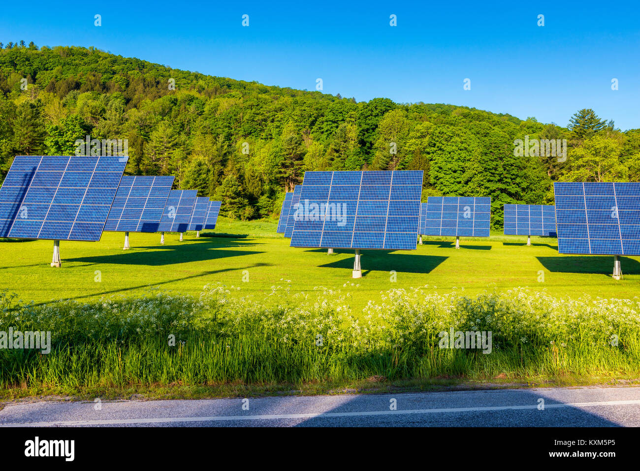 Solar Panels im Bereich entlang der Straße Stockfoto