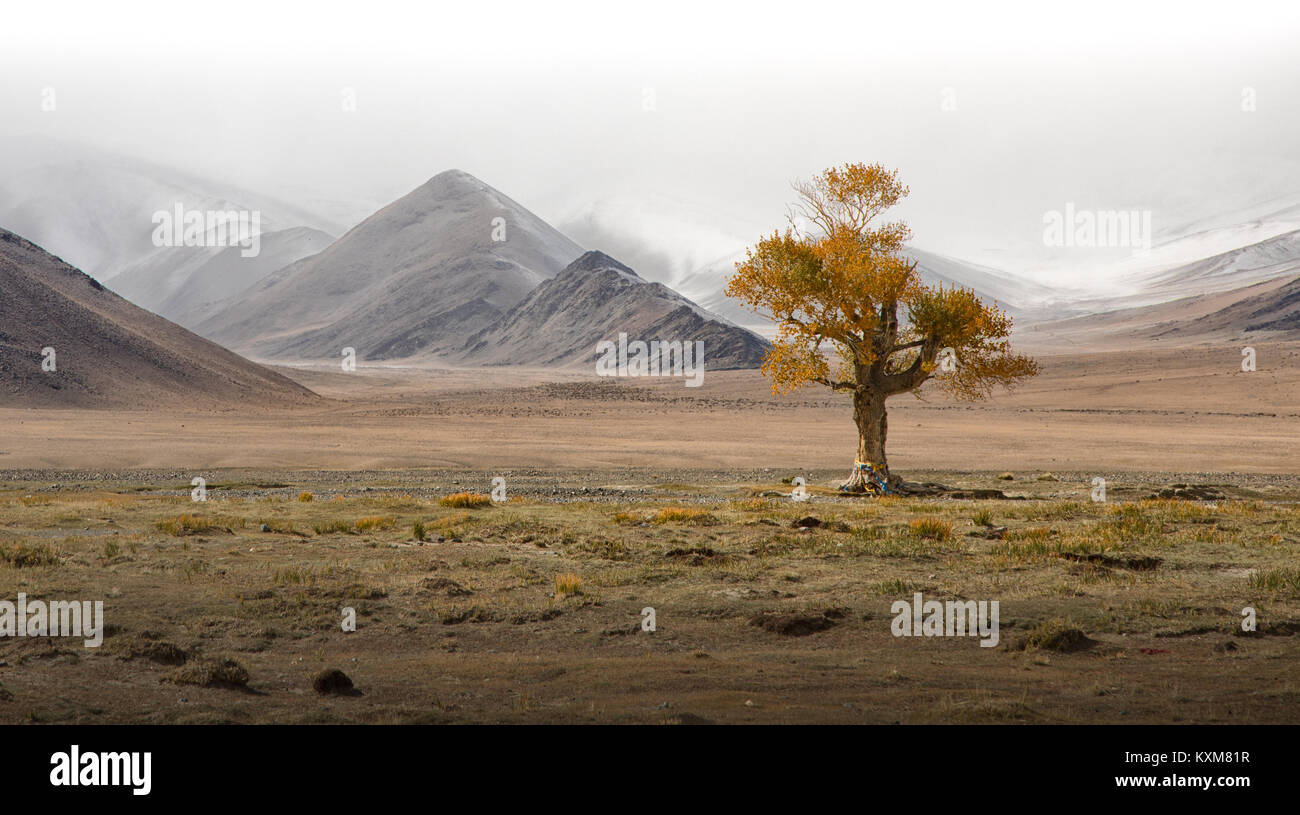 Mongolische einsamer Baum gelbe Blätter Landschaft verschneite Berge Schnee Winter bewölkt Mongolei Stockfoto