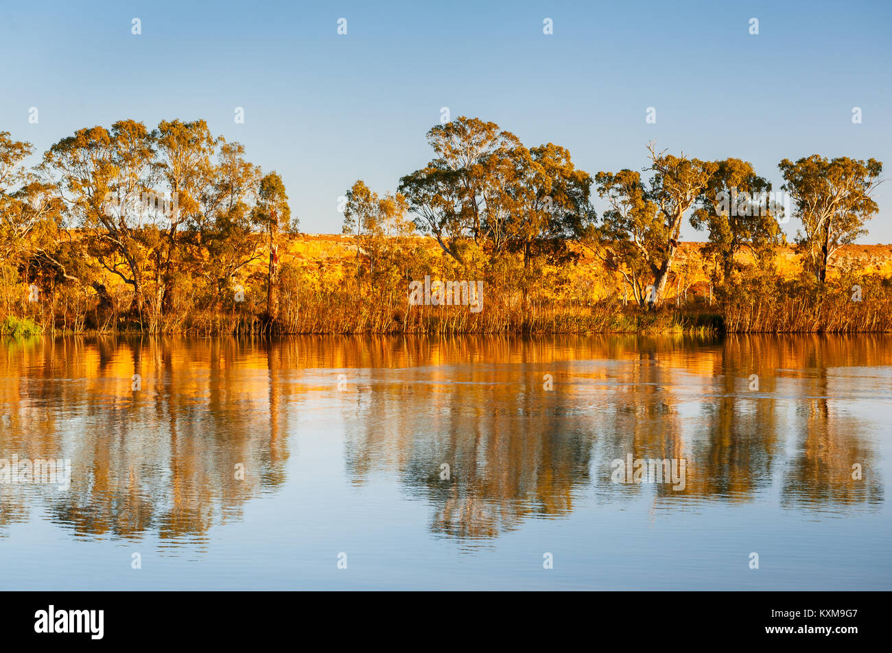 Morgen am Ufer des Murray River. Stockfoto