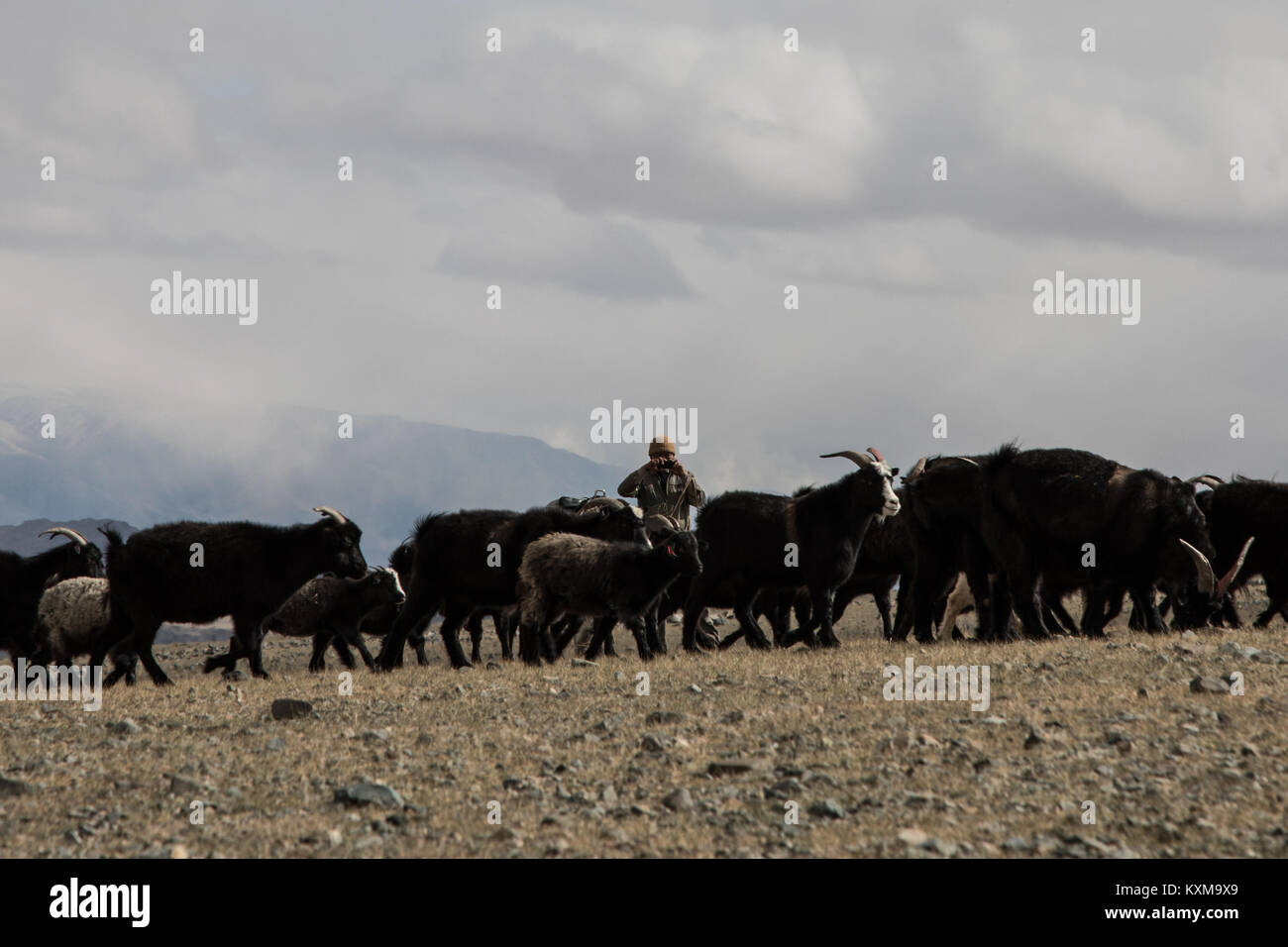 Ziege keeper Schäfer Bilder mongolischen Winter Snowy Mountains Stockfoto