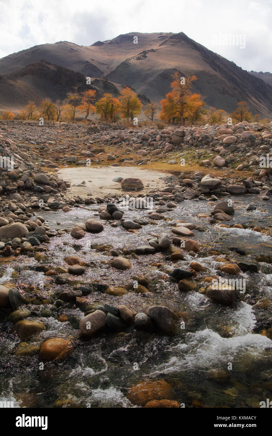 Fluss der Mongolei gelbe Blätter fallen Strom von Wasser Landschaft Stockfoto