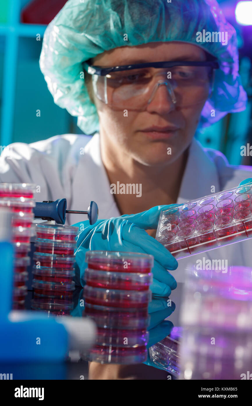 Technikerin in Forschung im Labor von Krebserkrankungen Stockfoto