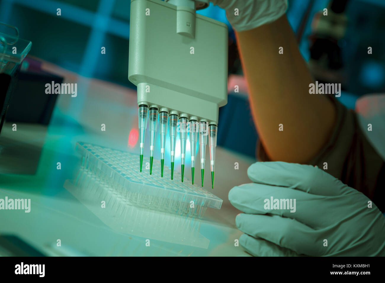 Elektrophorese gerät in einem Genetics Lab den genetischen Code zu entschlüsseln. Stockfoto