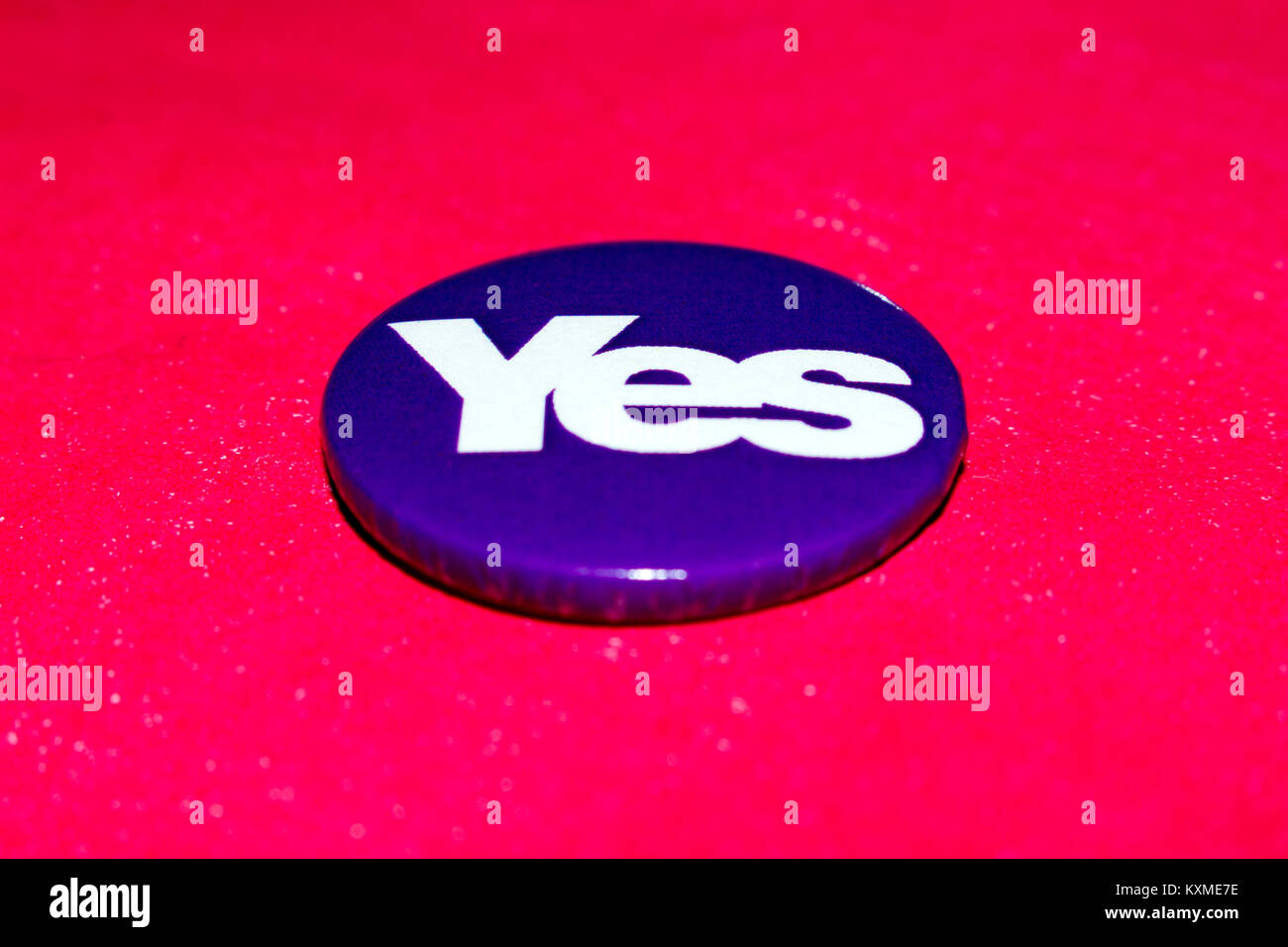 Ja Abzeichen für 2014 Der schottische Unabhängigkeit Volksabstimmung Stockfoto