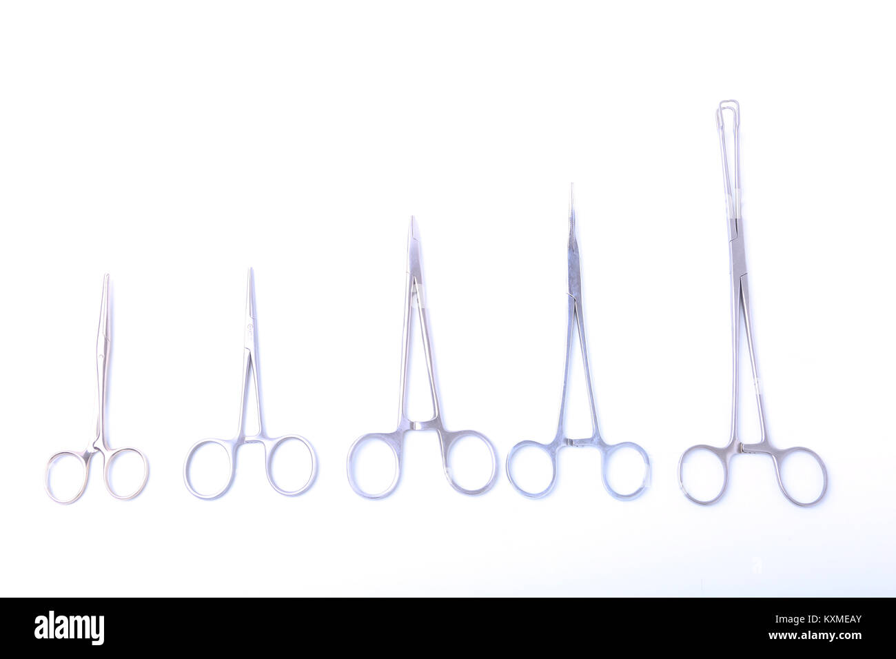 Chirurg Werkzeuge - Schere für Chirurgie - auf weißem Hintergrund Stockfoto