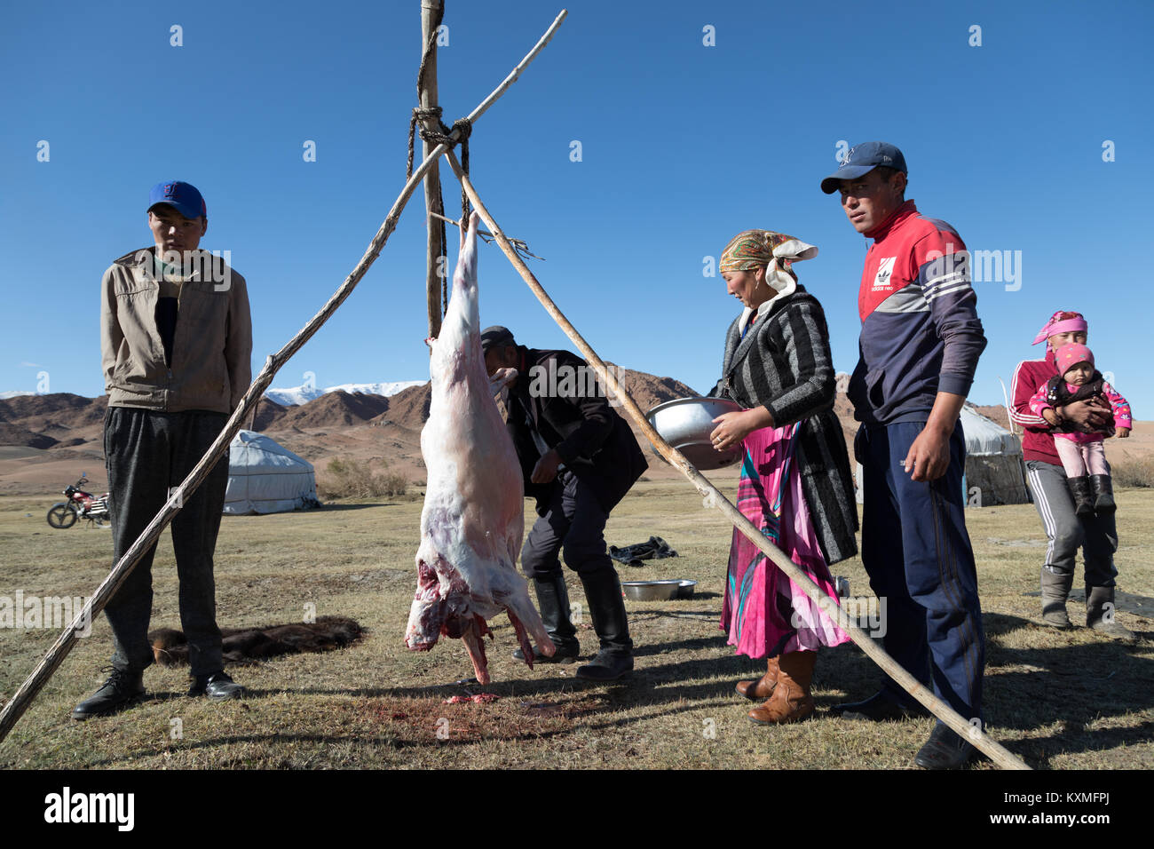 Mongolische Eagle Hunter Familie butchering Schaffleisch Mongolei ger Stockfoto