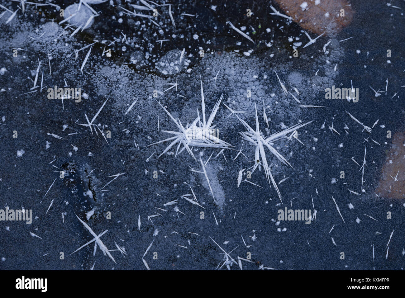 Spiky Eiskristalle auf einem zugefrorenen Bach bei einem Kälteeinbruch Stockfoto