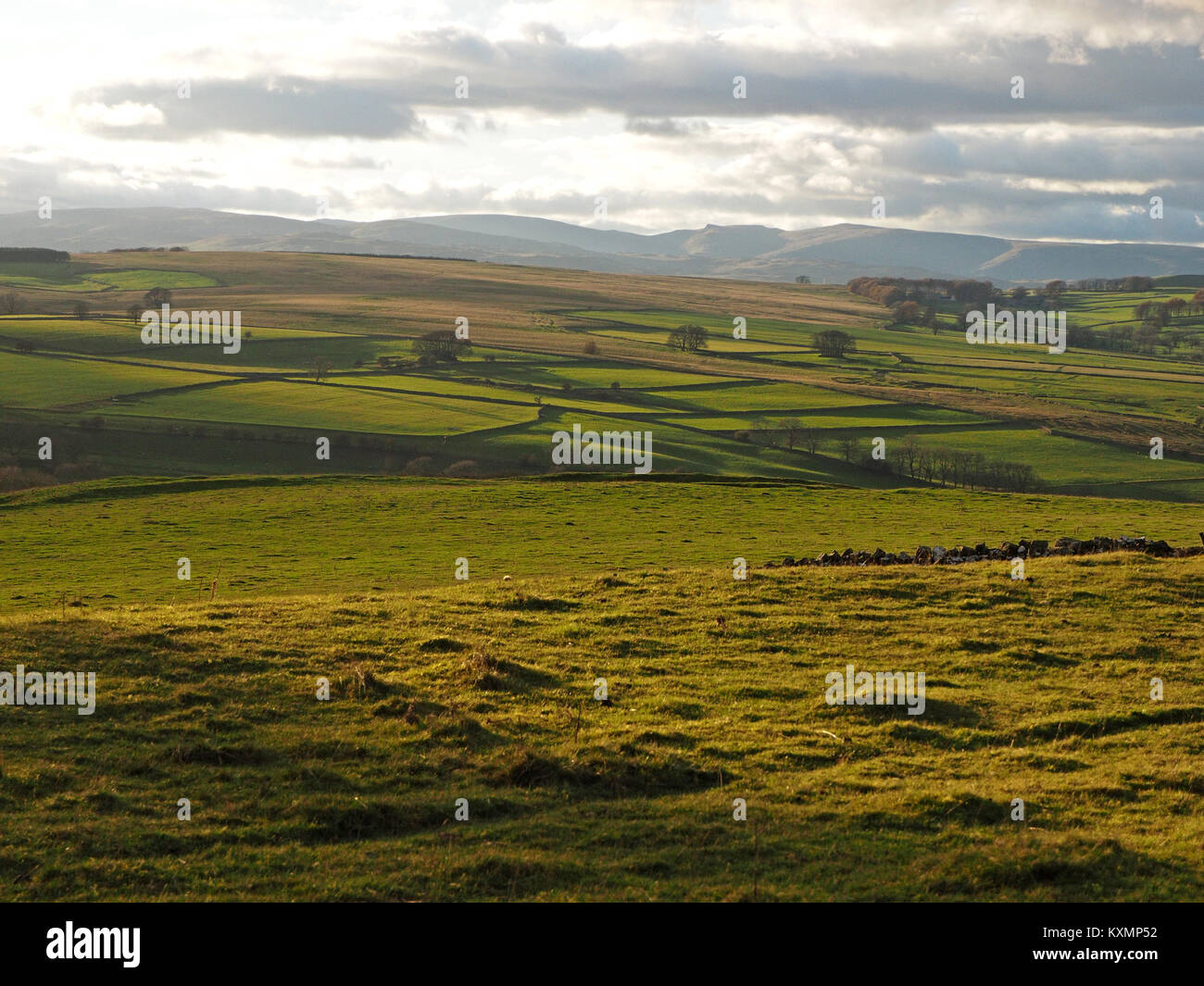 Blick vom rauhen Weide der Bank Moor über Rollenackerland Eden Valley mit patchwork Felder auf die fernen Hügel von Cumbria im goldenen Herbst Licht Stockfoto