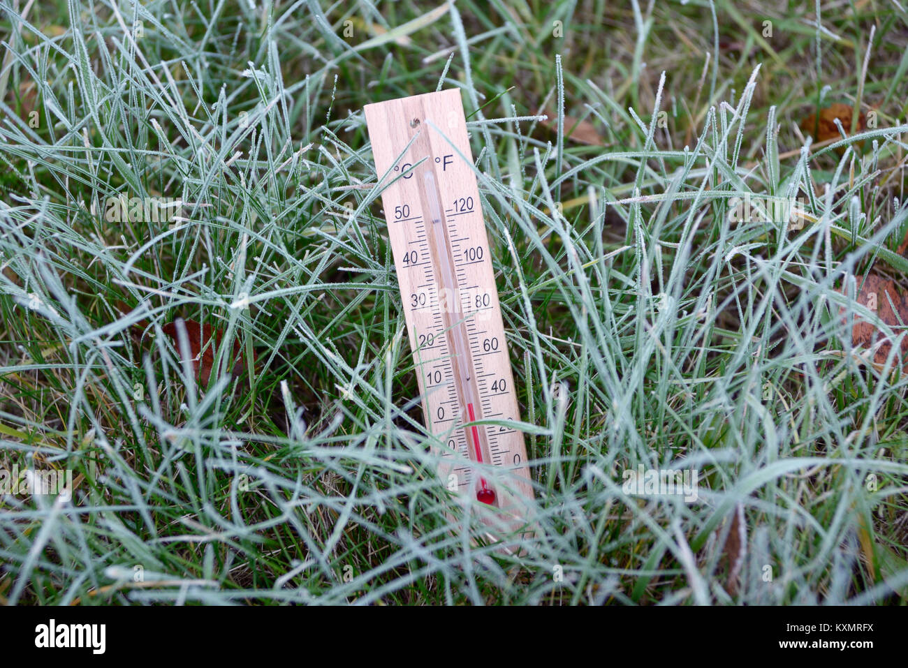 Thermometer ist im grünen Gras bedeckt mit Raureif und zeigt subzero Temperatur Stockfoto